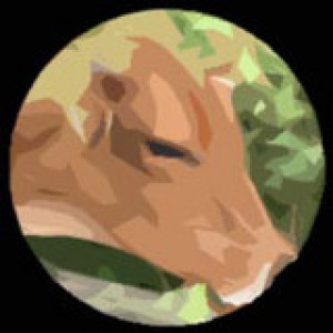 LaoMeng